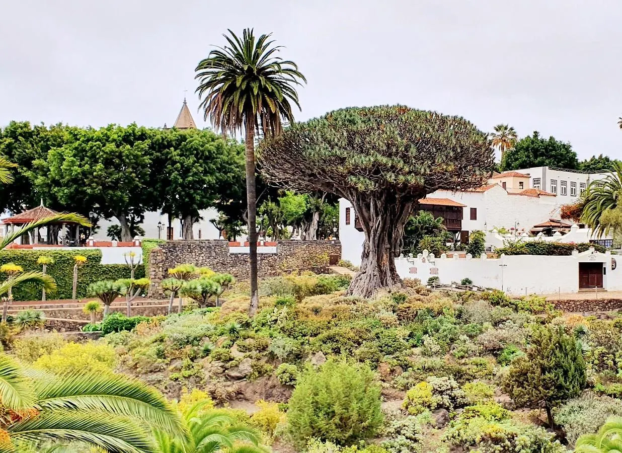 Apartamento Estudio Carmen Puerto Santiago Puerto de Santiago